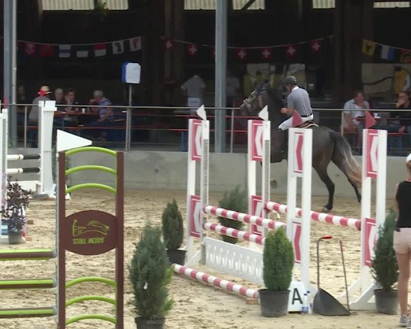 Reitturnier Schwyz 2020