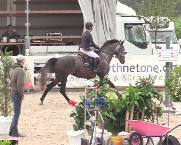 Reitturnier Ladelund 2020