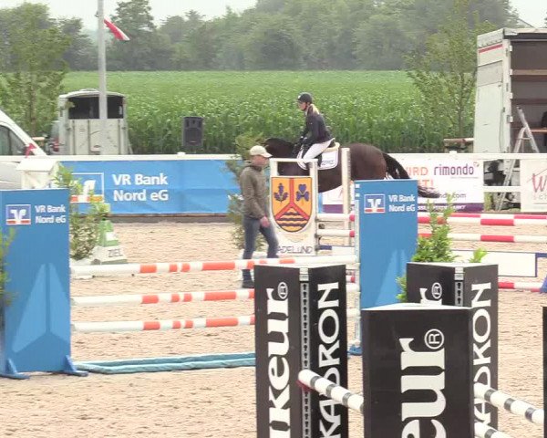Reitturnier Ladelund 2020
