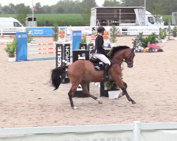 Reitturnier Ladelund 2020