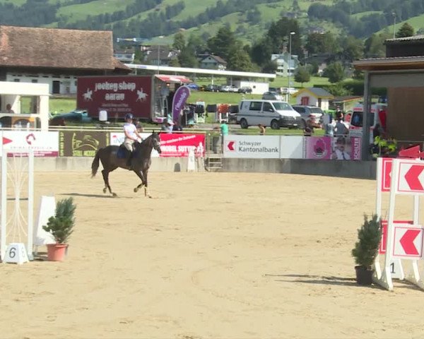 Reitturnier Schwyz 2020