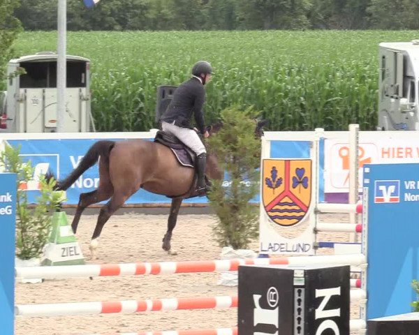Reitturnier Ladelund 2020