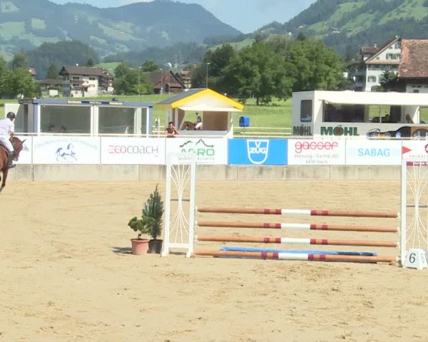 Reitturnier Schwyz 2020