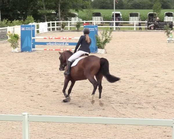 Reitturnier Ladelund 2020