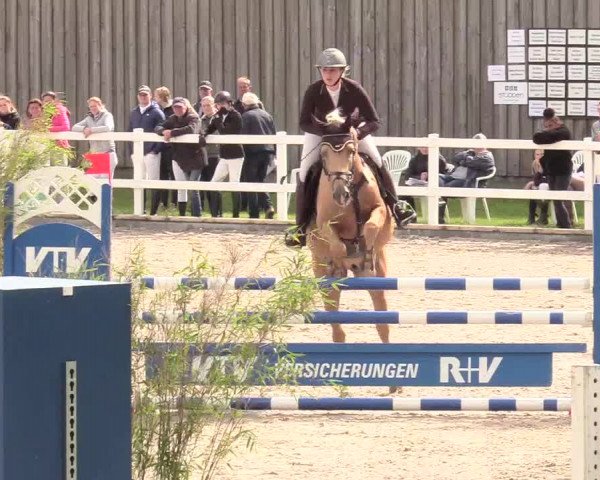 Reitturnier Ladelund 2020