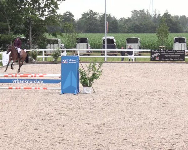 Reitturnier Ladelund 2020