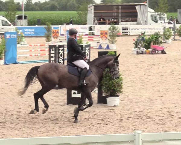 Reitturnier Ladelund 2020