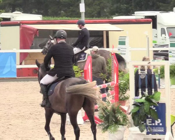 Reitturnier Ladelund 2020