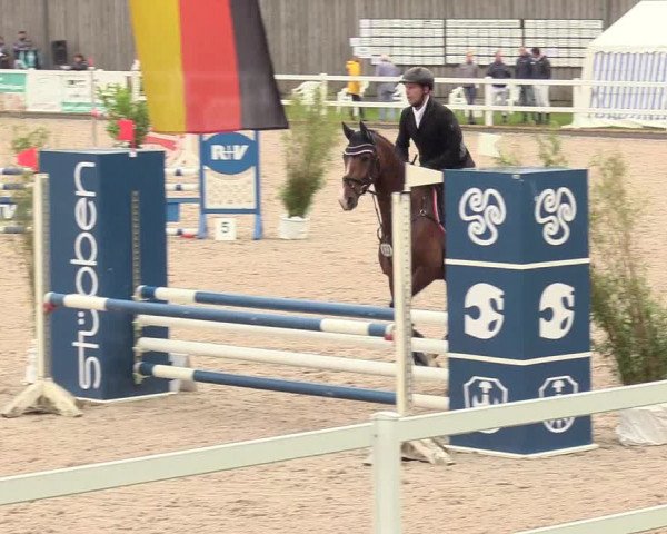 Reitturnier Ladelund 2020