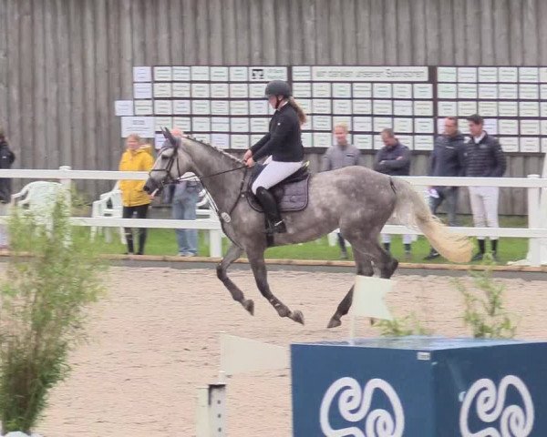 Reitturnier Ladelund 2020
