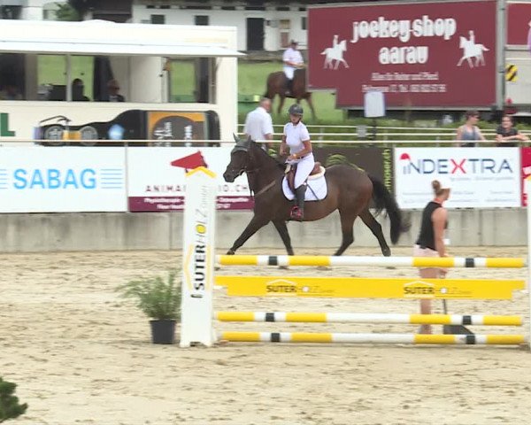 Reitturnier Schwyz 2020
