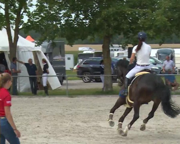 Reitturnier Rot am See- Musdorf 2020