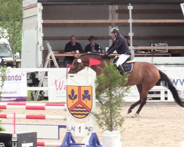 Reitturnier Ladelund 2020