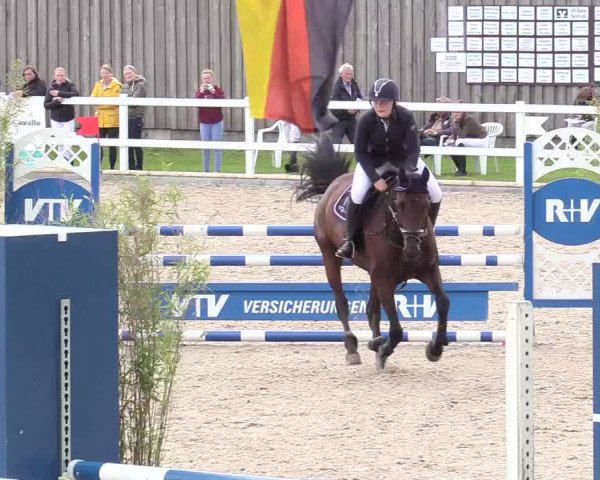 Reitturnier Ladelund 2020