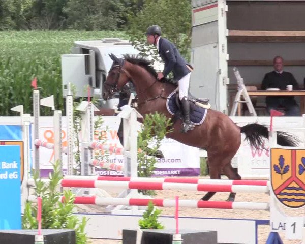 Reitturnier Ladelund 2020