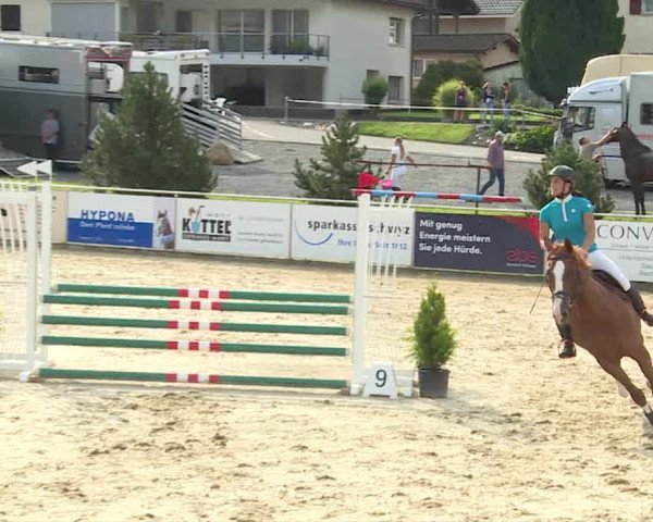 Reitturnier Schwyz 2020