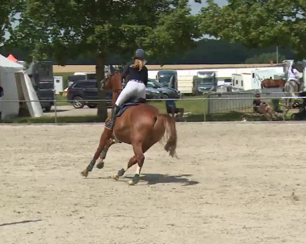 Reitturnier Rot am See- Musdorf 2020