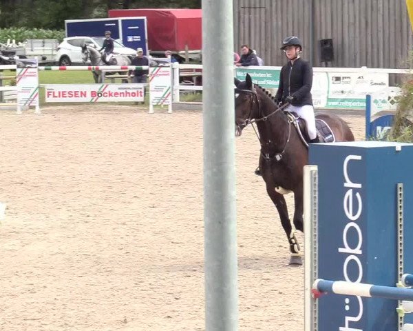 Reitturnier Ladelund 2020