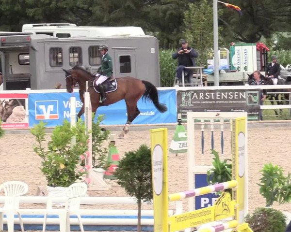 Reitturnier Ladelund 2020