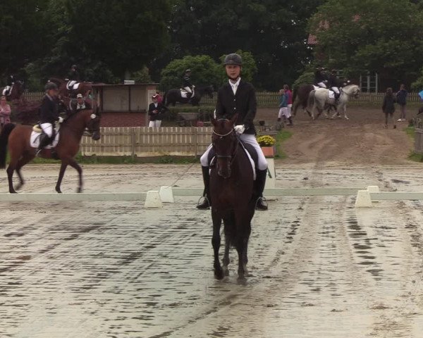 Reitturnier Schülp / Rendsburg 2020