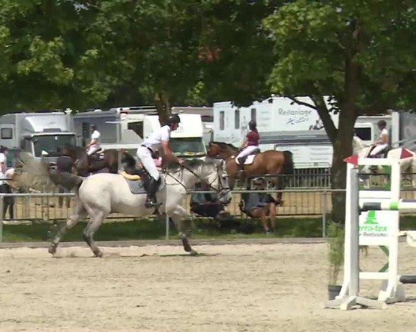 Reitturnier Rot am See- Musdorf 2020