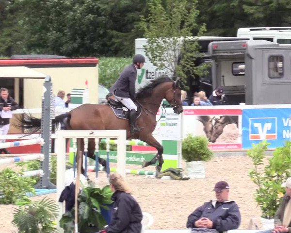 Reitturnier Ladelund 2020