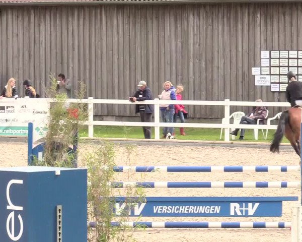 Reitturnier Ladelund 2020