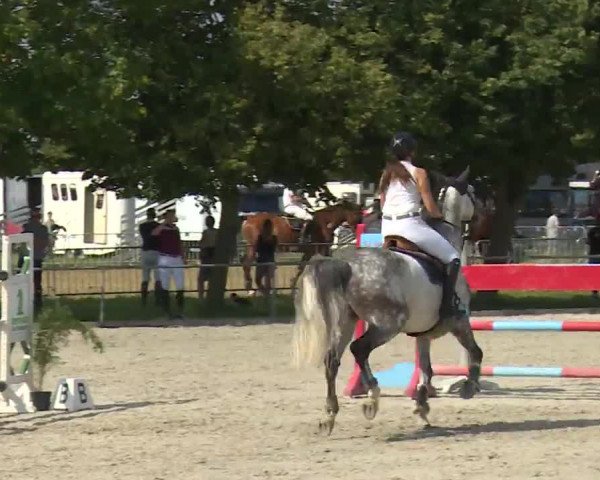 Reitturnier Rot am See- Musdorf 2020