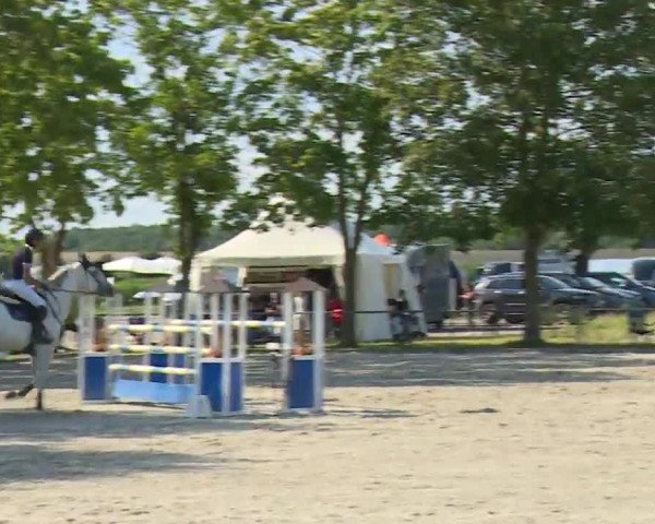 Reitturnier Rot am See- Musdorf 2020