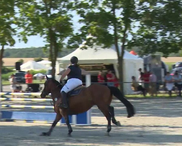 Reitturnier Rot am See- Musdorf 2020