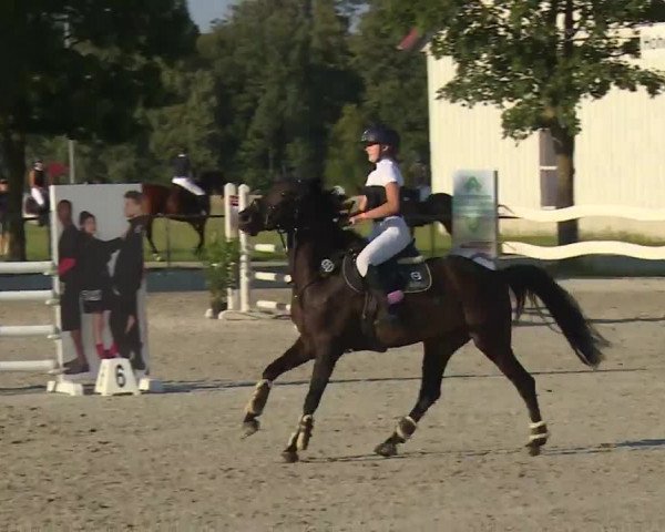Reitturnier Rot am See- Musdorf 2020