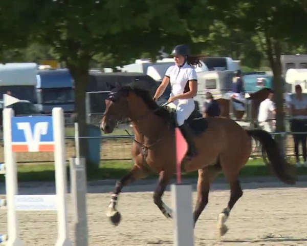 Reitturnier Rot am See- Musdorf 2020