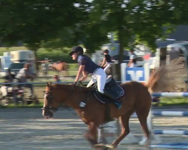 Reitturnier Rot am See- Musdorf 2020