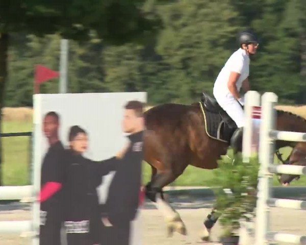 Reitturnier Rot am See- Musdorf 2020