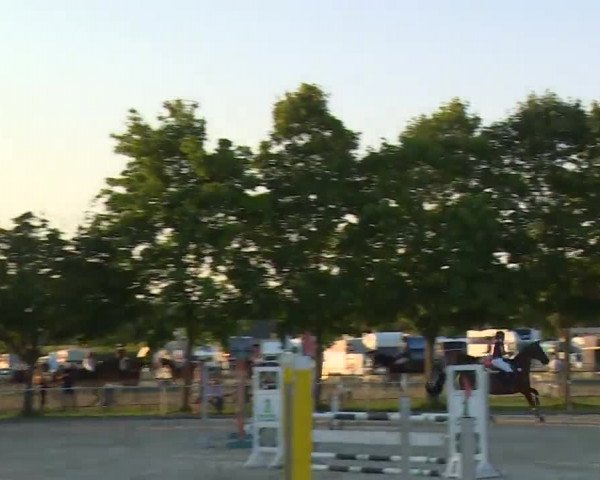 Reitturnier Rot am See- Musdorf 2020