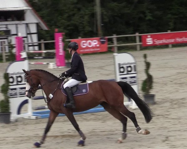Reitturnier Vlotho-Exter 2020