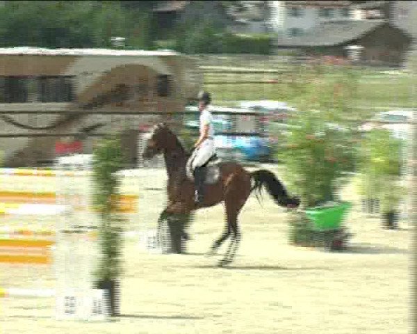 Reitturnier Bättwil 2020