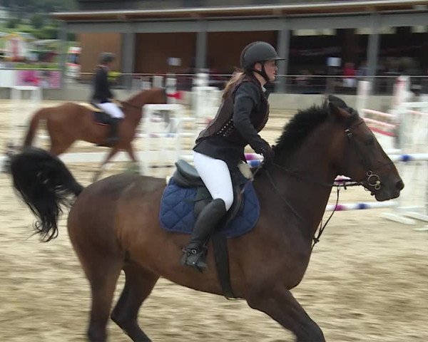 Reitturnier Schwyz 2020