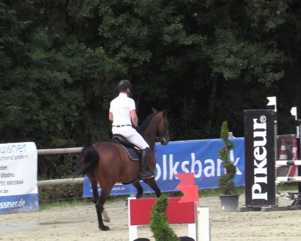 Reitturnier Vlotho-Exter 2020