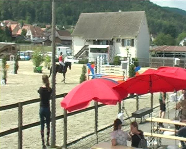 Reitturnier Bättwil 2020