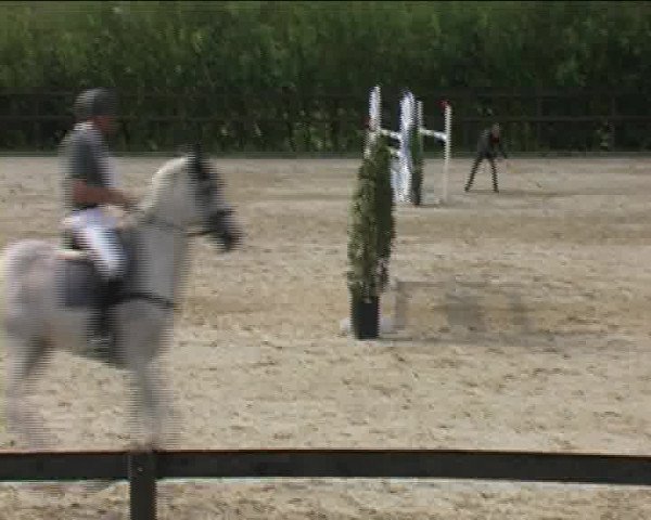 Reitturnier Bättwil 2020