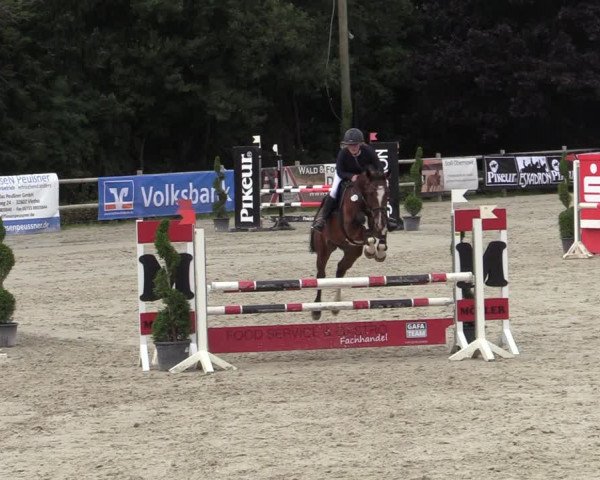 Reitturnier Vlotho-Exter 2020