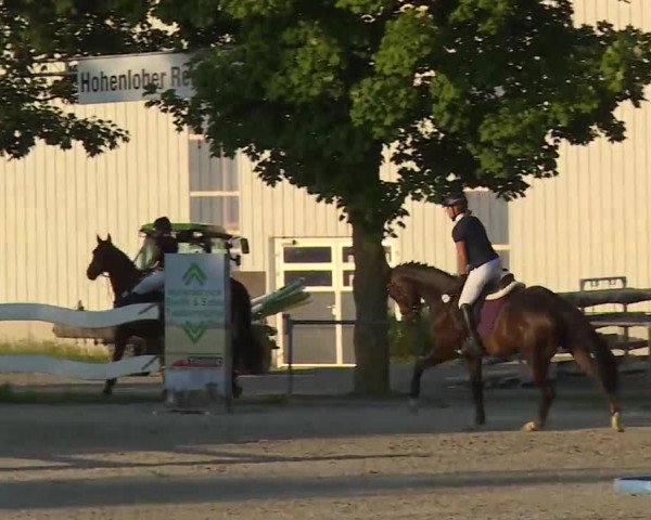 Reitturnier Rot am See- Musdorf 2020