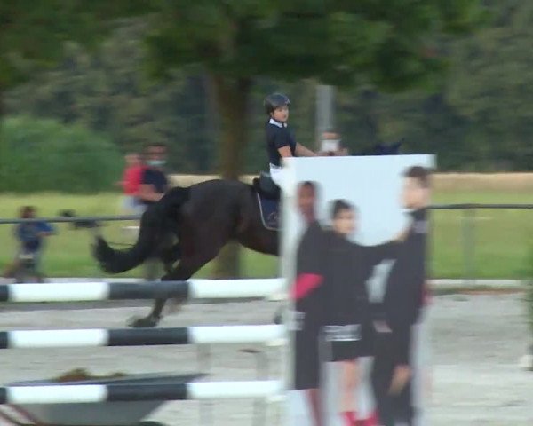 Reitturnier Rot am See- Musdorf 2020