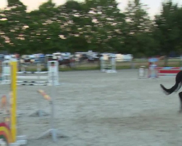 Reitturnier Rot am See- Musdorf 2020