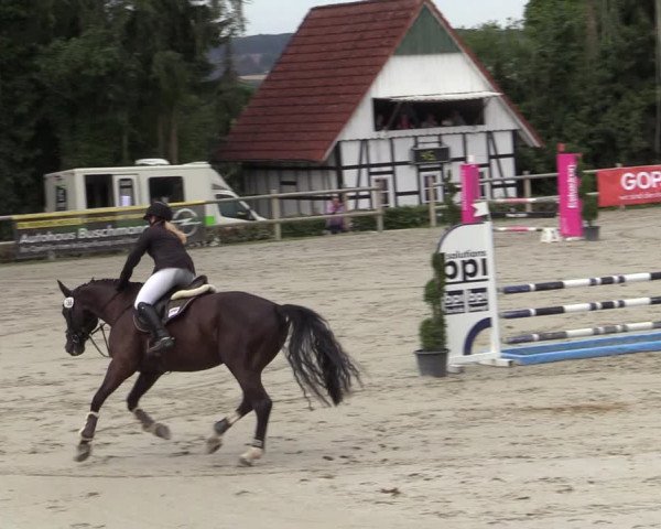 Reitturnier Vlotho-Exter 2020