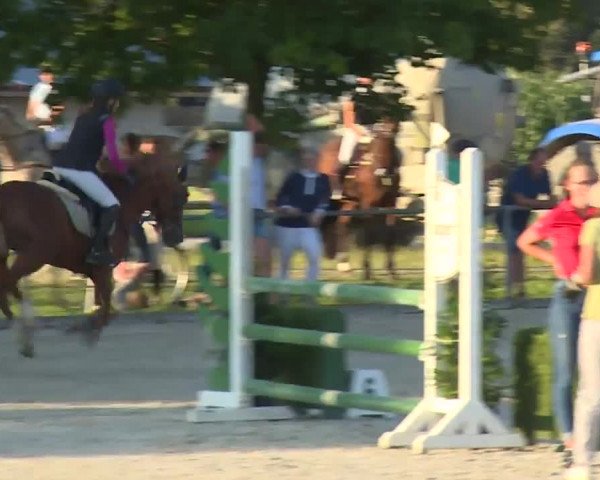 Reitturnier Rot am See- Musdorf 2020