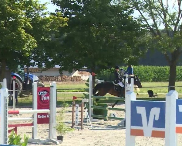 Reitturnier Rot am See- Musdorf 2020