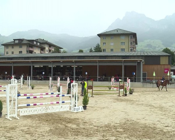 Reitturnier Schwyz 2020