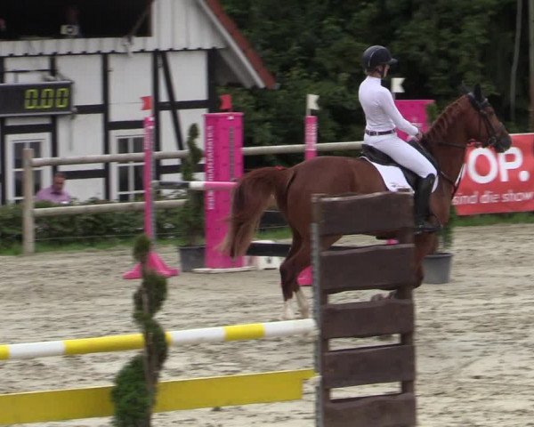 Reitturnier Vlotho-Exter 2020
